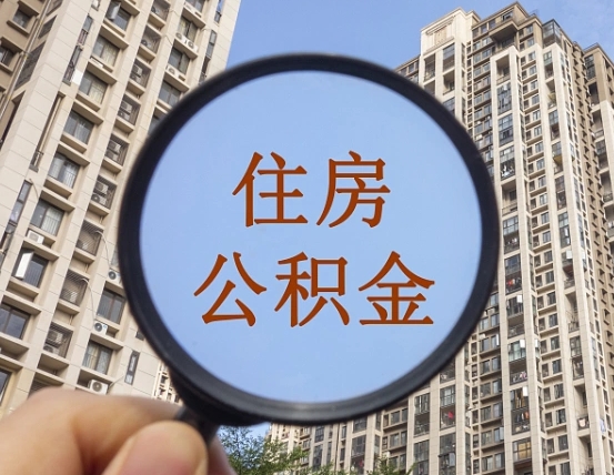 垦利退休后查不到公积金明细了吗（退休后公积金查询不到原因）